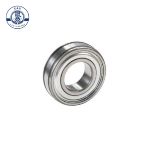 Deep Groove Ball Bearing FS-6206ZZC
